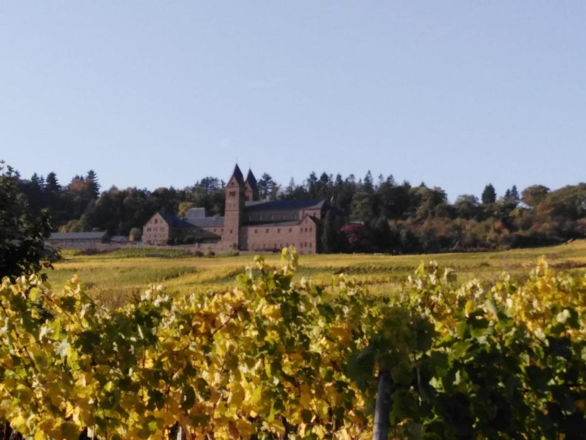 Rheingau Und Weltkulturerbe Mittelrheintal Erleben - Ferienappartement In Winkel Oestrich-Winkel Bagian luar foto