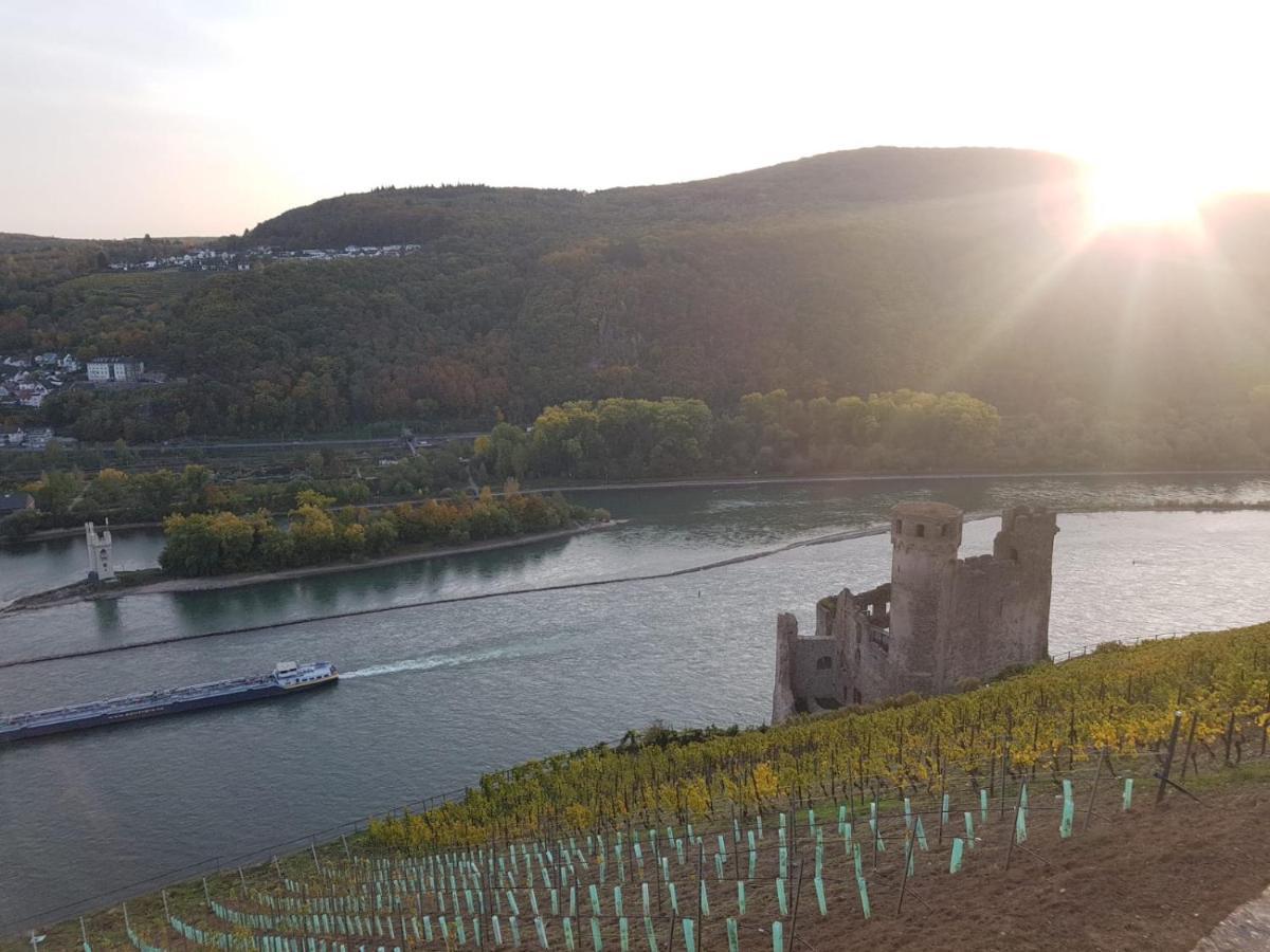 Rheingau Und Weltkulturerbe Mittelrheintal Erleben - Ferienappartement In Winkel Oestrich-Winkel Bagian luar foto