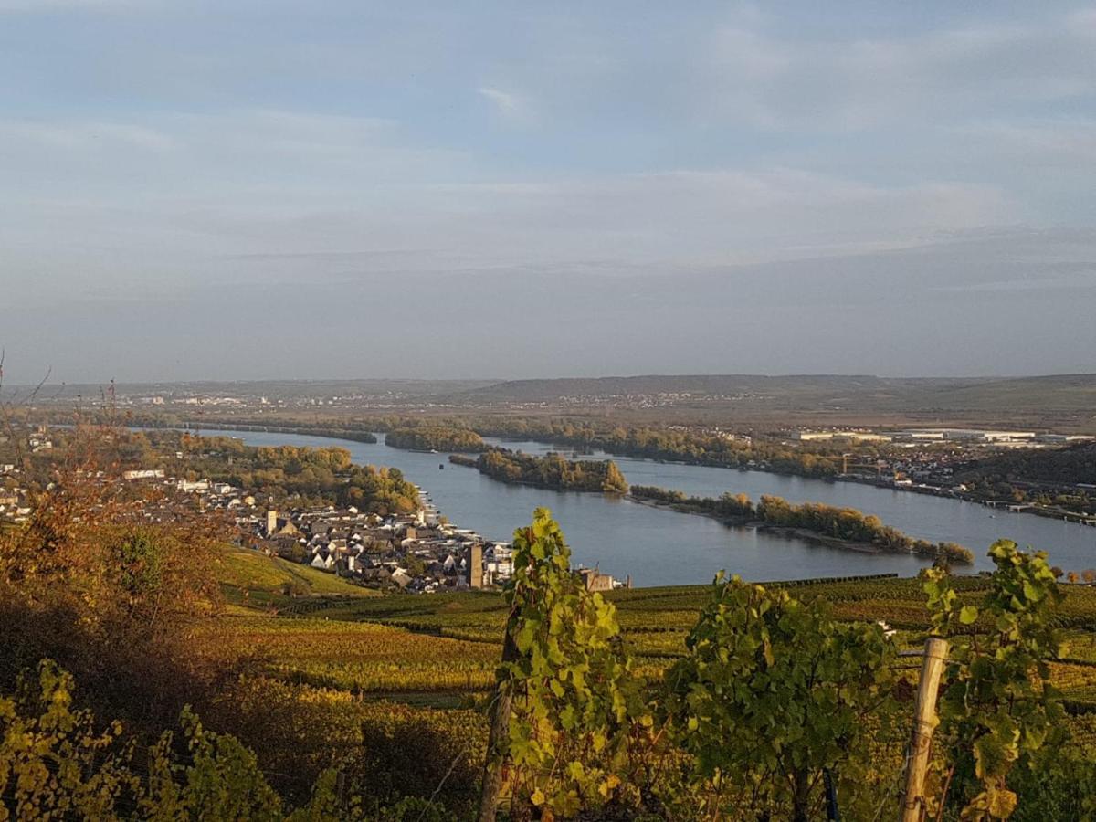 Rheingau Und Weltkulturerbe Mittelrheintal Erleben - Ferienappartement In Winkel Oestrich-Winkel Bagian luar foto