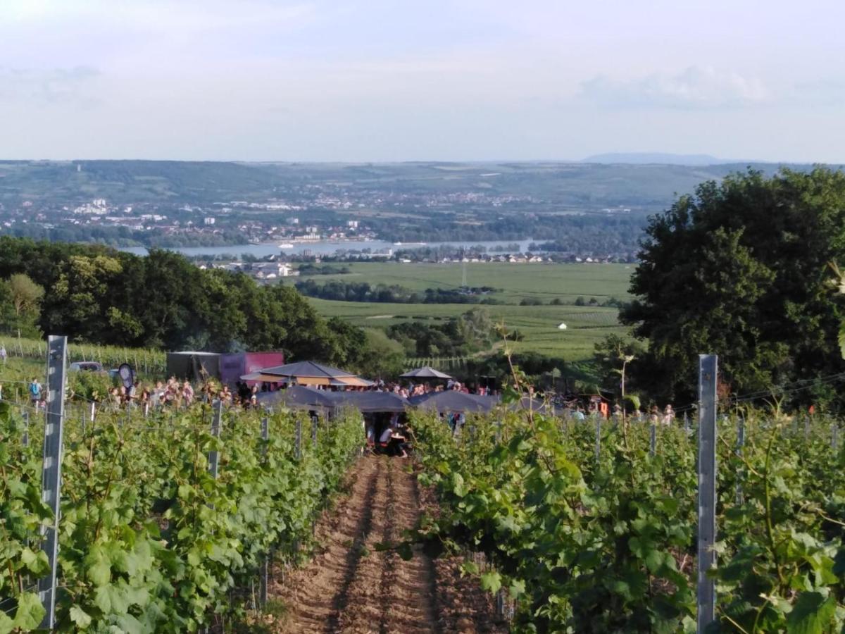 Rheingau Und Weltkulturerbe Mittelrheintal Erleben - Ferienappartement In Winkel Oestrich-Winkel Bagian luar foto