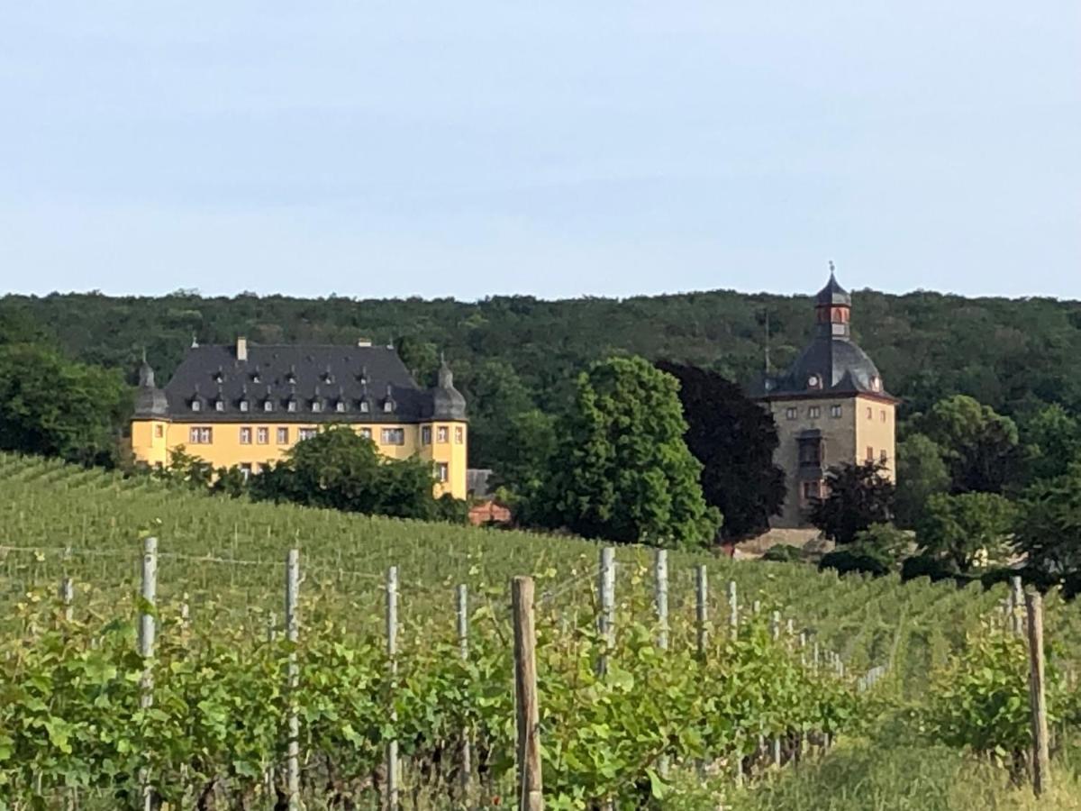 Rheingau Und Weltkulturerbe Mittelrheintal Erleben - Ferienappartement In Winkel Oestrich-Winkel Bagian luar foto