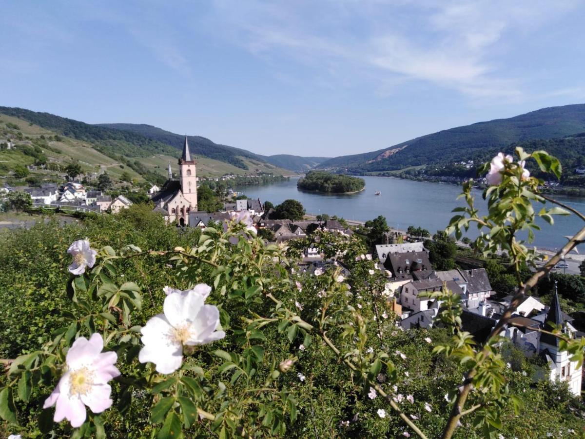 Rheingau Und Weltkulturerbe Mittelrheintal Erleben - Ferienappartement In Winkel Oestrich-Winkel Bagian luar foto